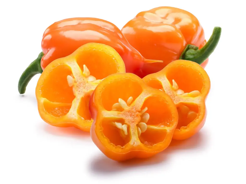 CHILE HABANERO (Precio por KG)