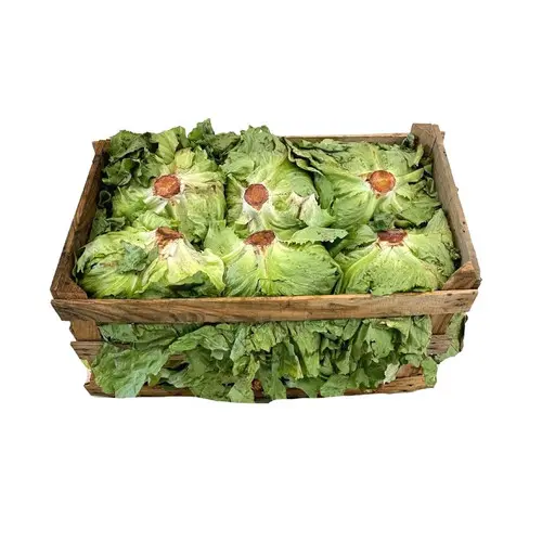 CAJA DE LECHUGA