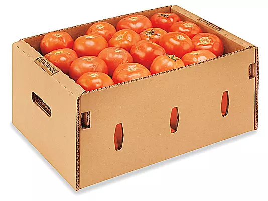 CAJA JITOMATE ECO (Precio por KG)