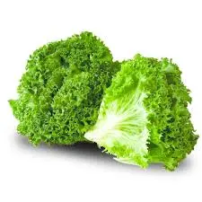 LECHUGA ITALIANA