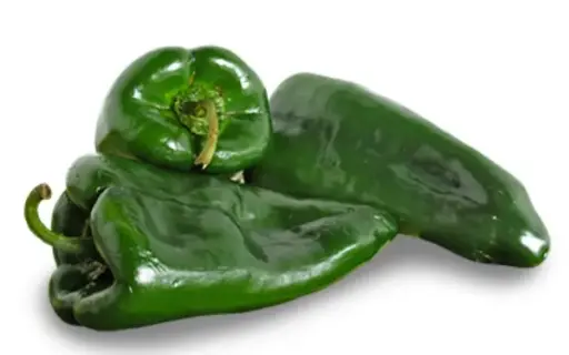 CHILE POBLANO/PASILLA (Precio por KG)