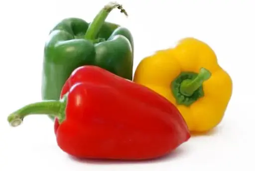 CHILE MORRON COLOR (Precio por KG)