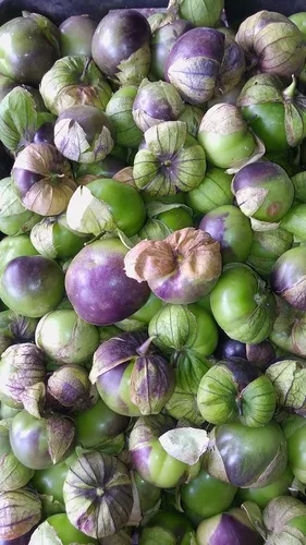 TOMATE MORADO (Precio por KG)