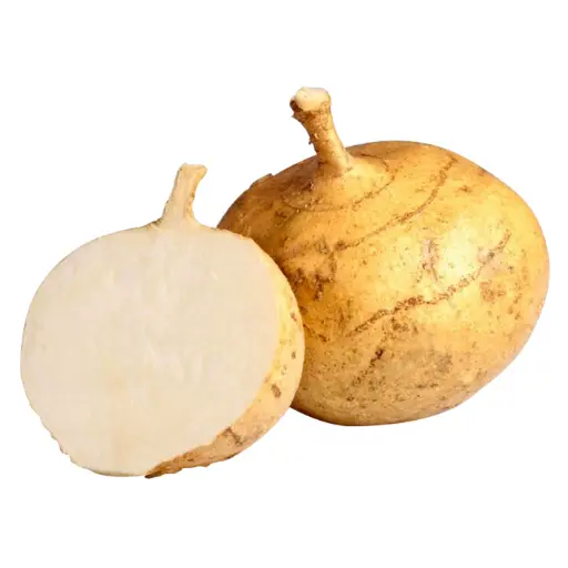 JICAMA (Precio por KG)